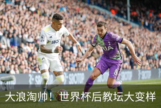 大浪淘帅！世界杯后教坛大变样